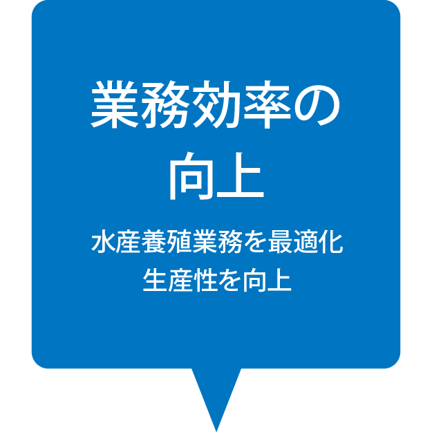 業務効率の向上